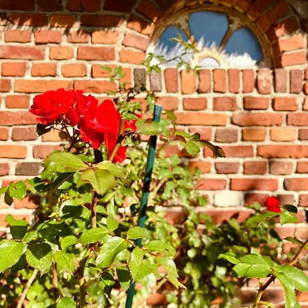 Thatched With Large Garden Near North Sea Vakantiehuis *